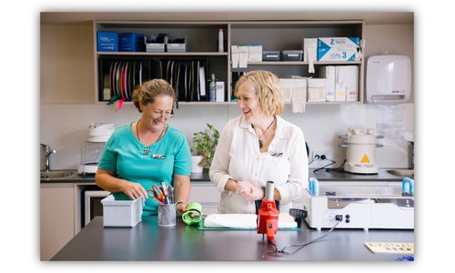 Welcome to the Winterless North: Meet the Whangarei Team